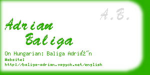 adrian baliga business card